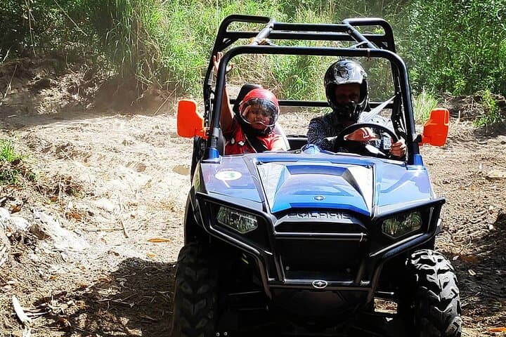 ATV Ride Through Palampur Tea Gardens — 3 km RZR 570 Off-Road Experience