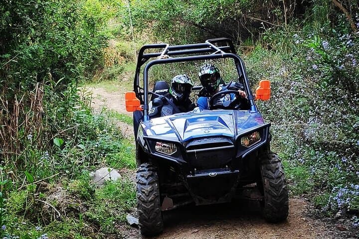 ATV Ride Through Palampur Tea Gardens — 3 km RZR 570 Off-Road Experience photo 6