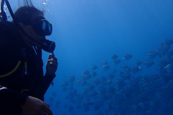 Discover Scuba Diving in Bali: Liberty Wreck, Amed & Manta Encounters photo 5