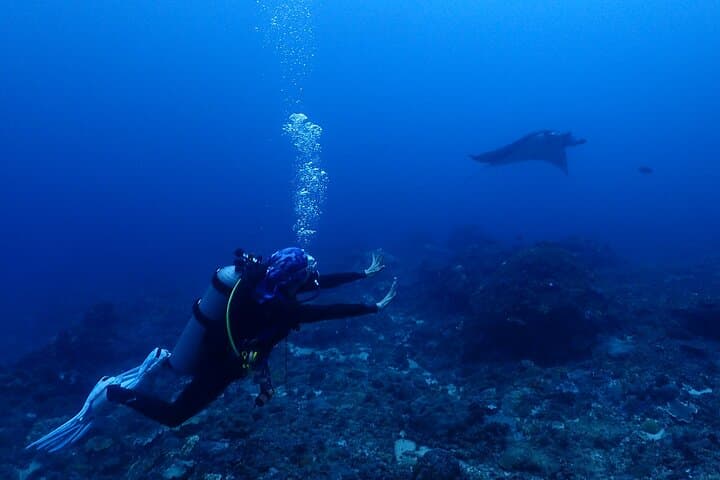 Discover Scuba Diving in Bali: Liberty Wreck, Amed & Manta Encounters photo 6