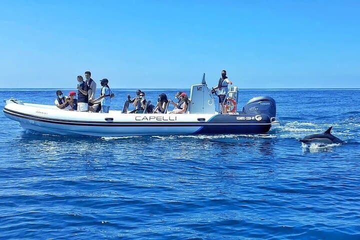Benagil Caves and Dolphin-Watching Cruise from Albufeira photo 2