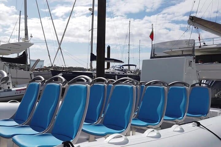 Benagil Caves and Dolphin-Watching Cruise from Albufeira photo 3