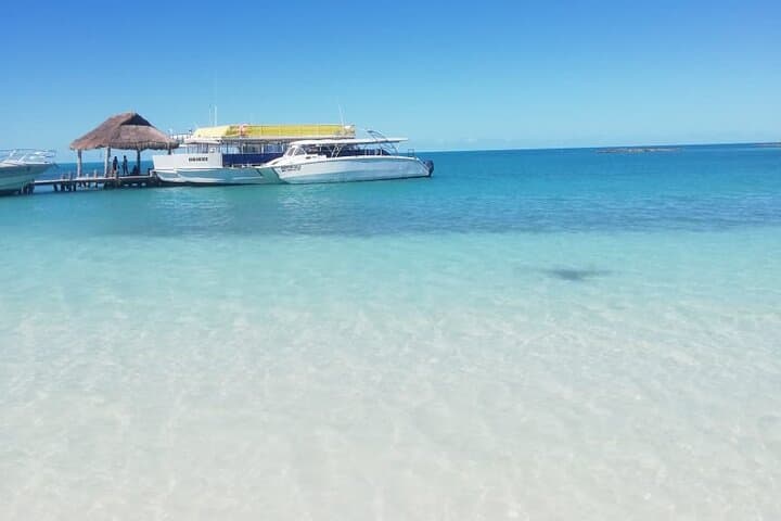 Isla Contoy and Isla Mujeres Full-Day Snorkel from Cancun photo 3