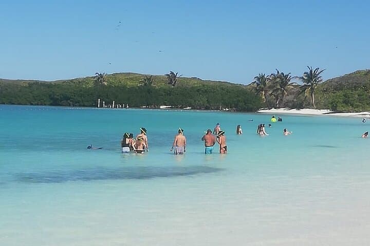 Isla Contoy and Isla Mujeres Full-Day Snorkel from Cancun photo 6