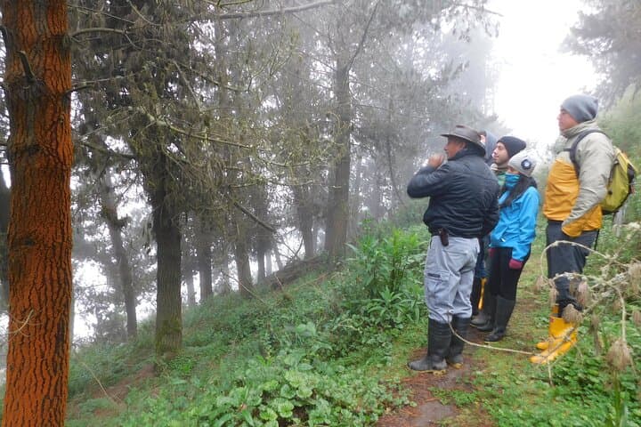Paramo Winds: Hacienda Hipolongo Chagra Experience Near Ambato