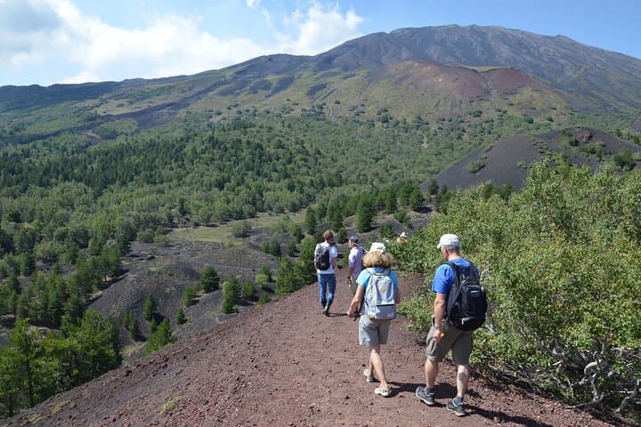 Etna Morning Hike: Caves, Lava Flows & Craters Tour from Catania photo 4