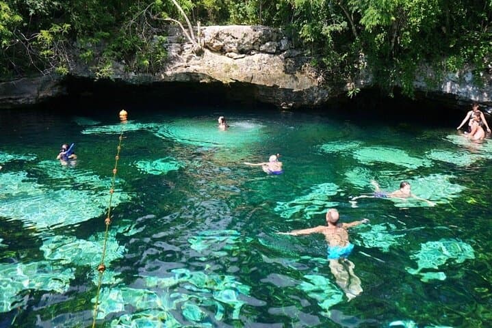 Private Akumal Snorkel & Cenote Swim — Turtle Encounter from Cancun