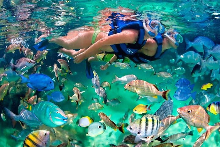 Private Akumal Snorkel & Cenote Swim — Turtle Encounter from Cancun photo 3