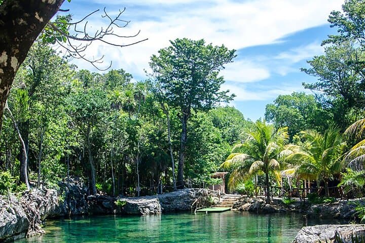 Akumal Turtle Reef & Cenote Dive — Private Snorkel on the Mesoamerican Barrier Reef photo 2