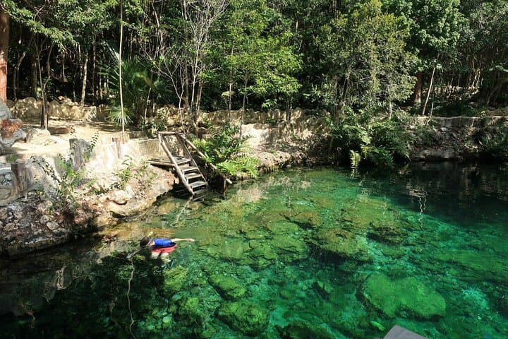 Akumal Turtle Reef & Cenote Dive — Private Snorkel on the Mesoamerican Barrier Reef photo 6
