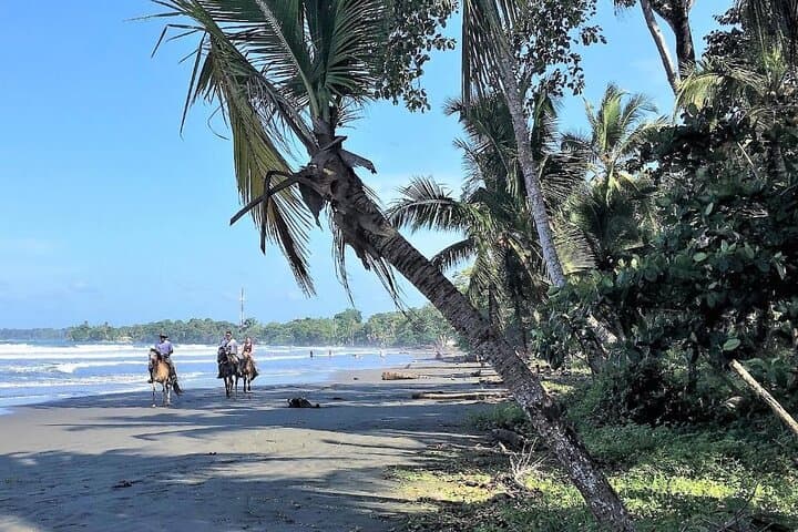 Private Horseback Ride and Cahuita National Park Guided Walk — Beaches, Monkeys & Reefs