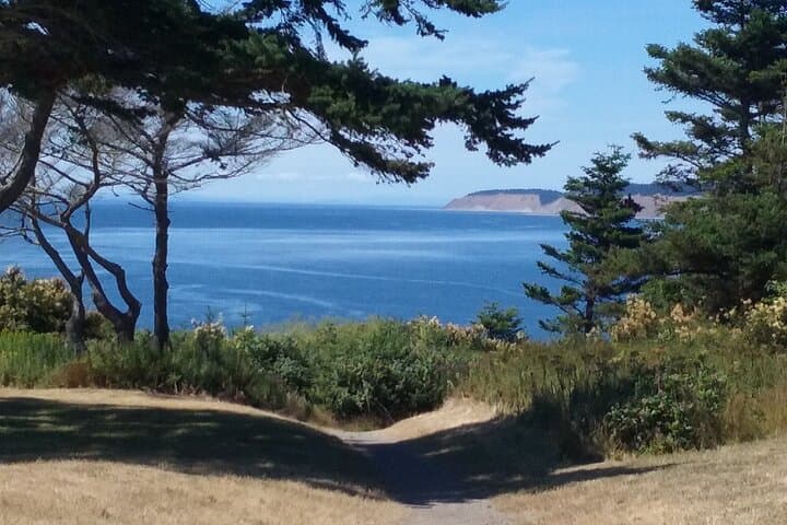 Deception Pass Private SUV Tour: Whidbey Island Bridge, Beaches & Fort Casey