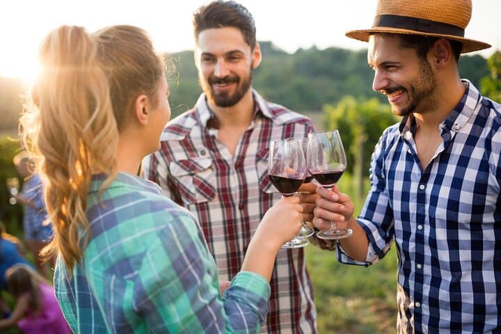 Taste + Tram the Cape Winelands: Stellenbosch, Franschhoek & Paarl Wine Tour