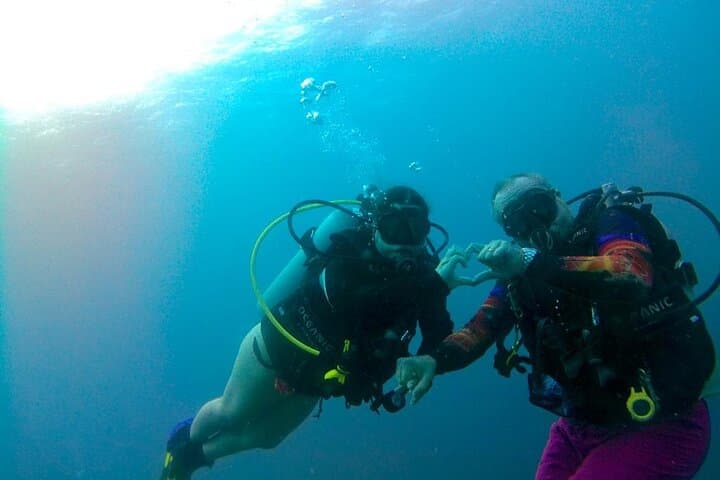Discover Scuba Diving in Curaçao: PADI Intro with Hotel Pickup photo 2