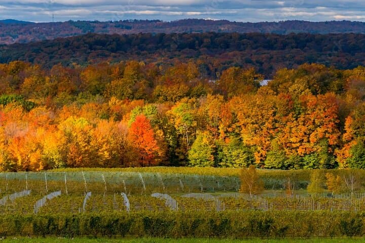 Traverse City Sunset Wine Tour: 4-Hour Old Mission Peninsula Wineries photo 2