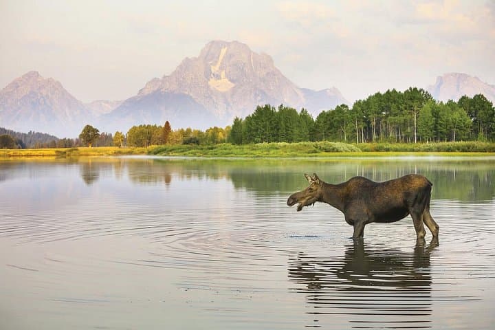 Dawn at the Tetons