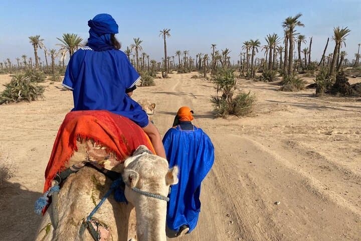 Sunset Camel Ride in the Marrakech Palmeraie — Palm Grove Dromedary Experience photo 3