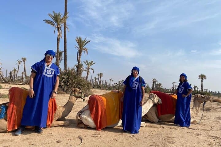 Sunset Camel Ride in the Marrakech Palmeraie — Palm Grove Dromedary Experience photo 2