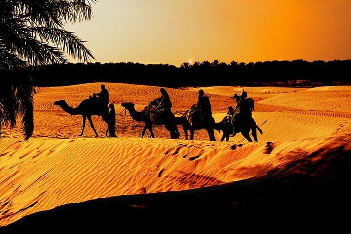 White Desert Overnight: 2-Day Bahariya Oasis 4x4 Camping Tour from Cairo photo 4