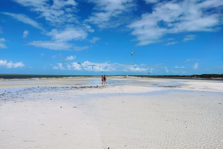 Day Trip to Holbox: Ferry to Punta Mosquitos & Punta Cocos from Cancun photo 2