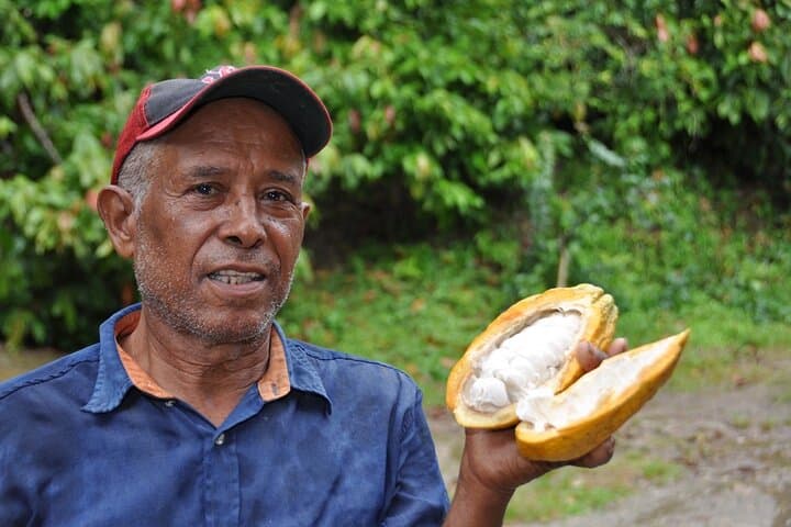 Puerto Plata Cocoa & Artisan Chocolate Tour: Hacienda Cufa Chocolate-Makers Experience photo 3