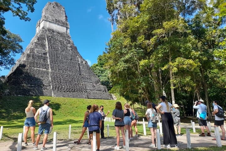 Tikal Day Tour from San Ignacio, Belize — Explore Ancient Maya Temples photo 5
