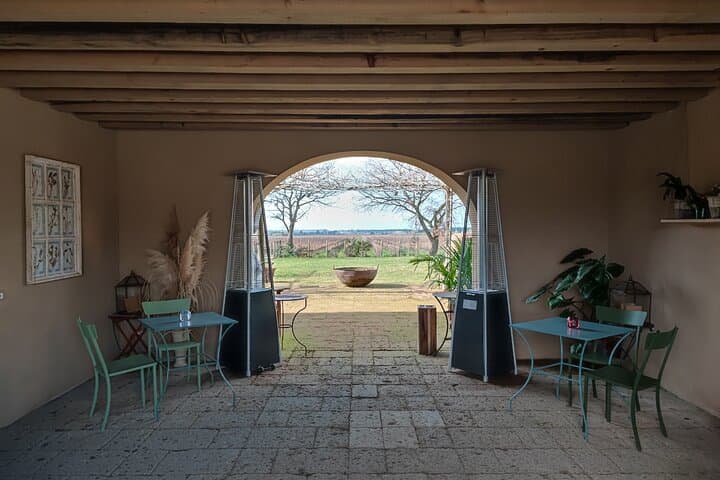 Bolgheri E-Bike Tour and Tuscan Cooking Lesson photo 6