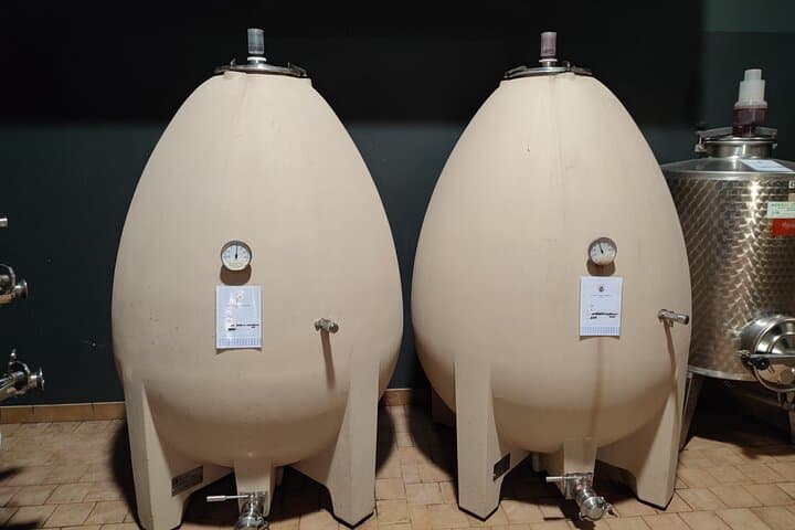 Trek Montalcino Vineyards: Brunello Trails, Enomusicale Tasting & Cacio di Pienza photo 3