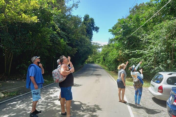 Exploring El Valle de Antón: Crater Trails, Waterfalls & Gehry’s New Museum photo 4