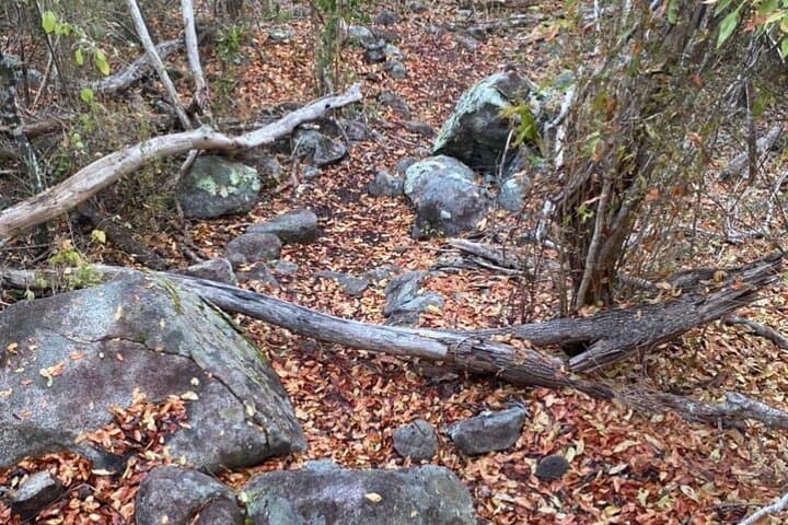 Mount Alma Hike: Best 360° View in the British Virgin Islands photo 3
