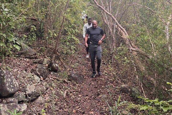 Mount Alma Hike: Best 360° View in the British Virgin Islands photo 4