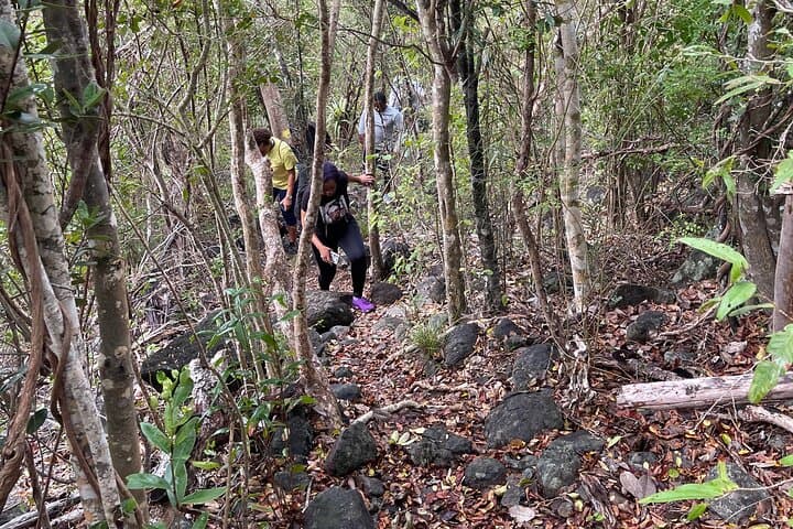Mount Alma Hike: Best 360° View in the British Virgin Islands photo 6