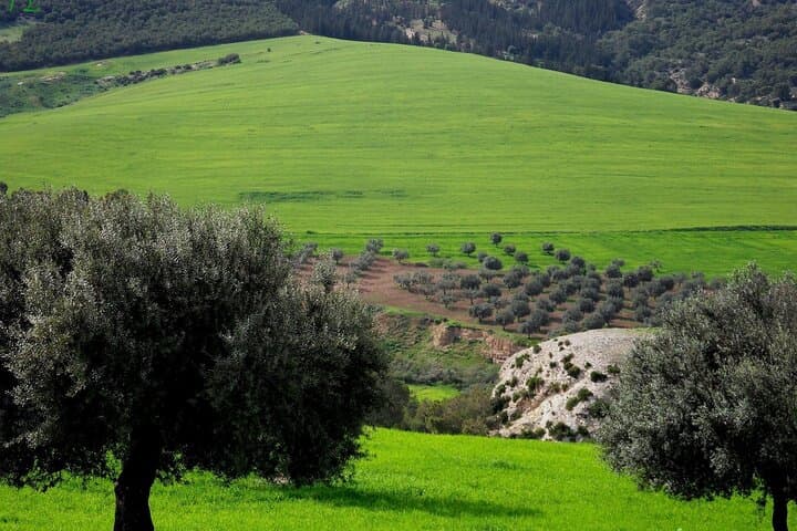 Private 2-Day Northern Tunisia Tour: Tabarka, Ain Draham & Beni Mtir from Tunis photo 6