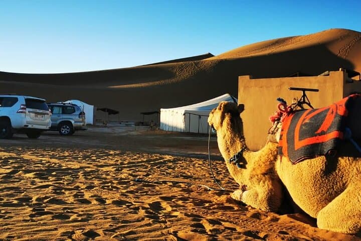 3-Day Erg Chigaga Desert Bivouac from Marrakech — Camel Ride & Dune Safari