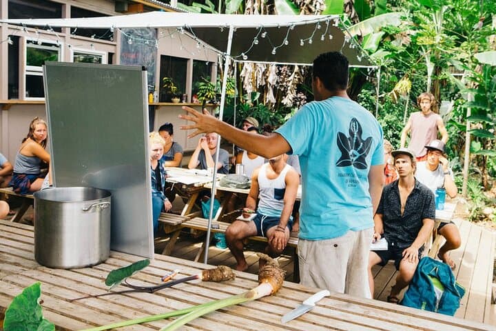 Big Island Farms Tour: Hamakua Coast Organic Farm Experience photo 4