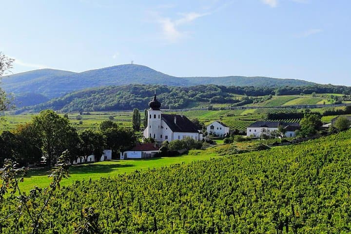 Private Vienna Woods Wine Tour: Hike, History & Thermal Region Tastings photo 2