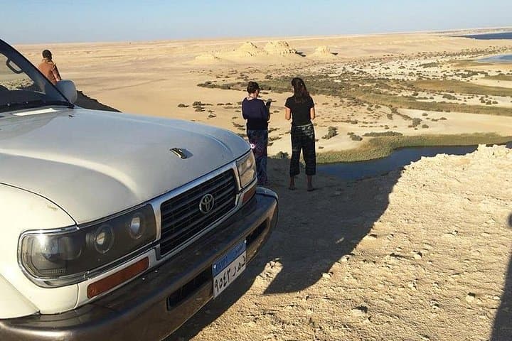 El-Fayoum Birdwatching Day Trip from Cairo — Wadi El Rayan & Lake Qarun photo 1