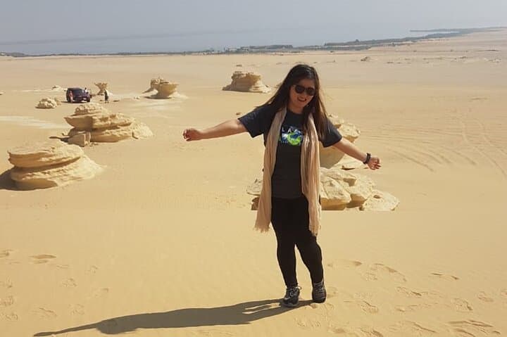Day Tour to El Fayoum from Cairo — Wadi Hitan, Rayan Waterfalls & Medinet Madi