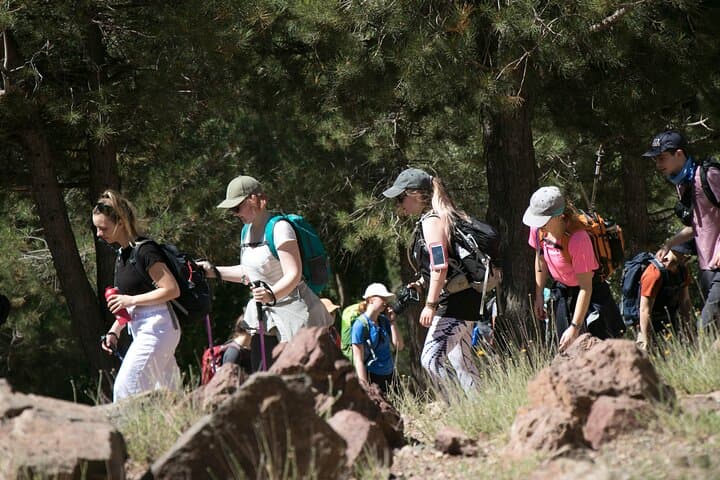 Toubkal Trek — 2-Day Summit from Marrakech to Mount Toubkal (4167m) photo 5