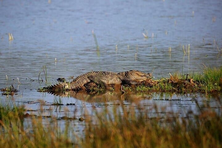 Wilpattu National Park Full-Day Jeep Safari from Negombo - Leopard & Wetland Bird Safari photo 4