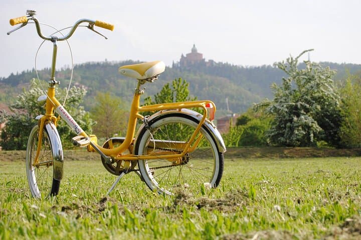 Explore Bologna by Bike: 2-Hour Panoramic City Tour