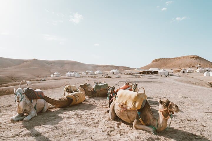 Agafay Desert Quad Biking and Camel Ride from Marrakech photo 6