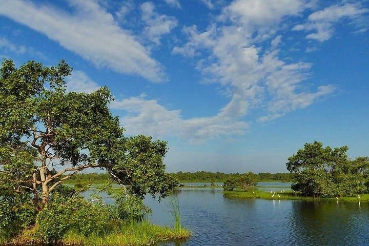 Kalametiya Catamaran Bird-Watching Tour: Coastal Wetlands & Paddle Experience photo 2