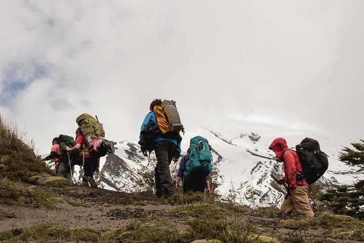 Paso Desolación Full-Day Hike: Osorno to Lake Todos Los Santos