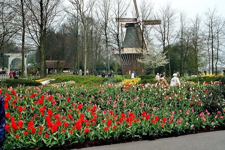 Private Day Trip to Keukenhof and Zaanse Schans — Tulips, Windmills & Dutch Countryside photo 2