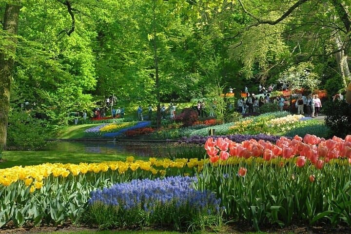 Private Day Trip to Keukenhof and Zaanse Schans — Tulips, Windmills & Dutch Countryside photo 6