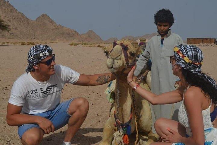 Hurghada Red Sea Desert Safari: Quad, Jeep, Camel & Bedouin BBQ Experience photo 1
