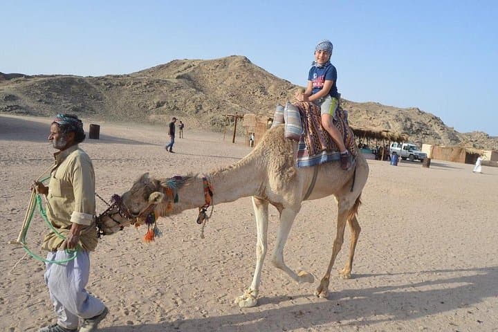 Hurghada Red Sea Desert Safari: Quad, Jeep, Camel & Bedouin BBQ Experience photo 3