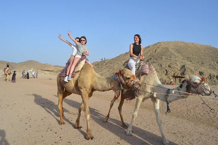 Hurghada Red Sea Desert Safari: Quad, Jeep, Camel & Bedouin BBQ Experience photo 4