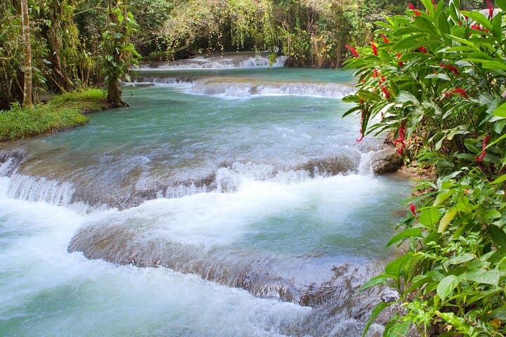 Horseback Riding and Dunn's River Falls — Ocho Rios Day Tour photo 3